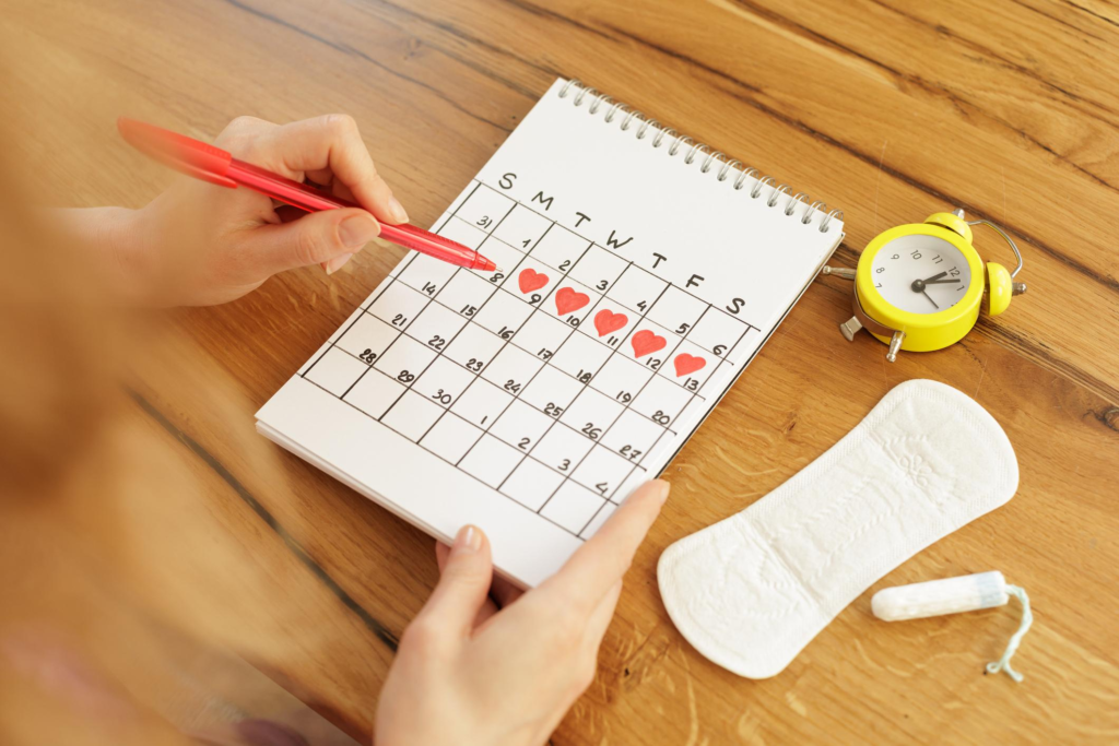 calendrier + cycle menstruel